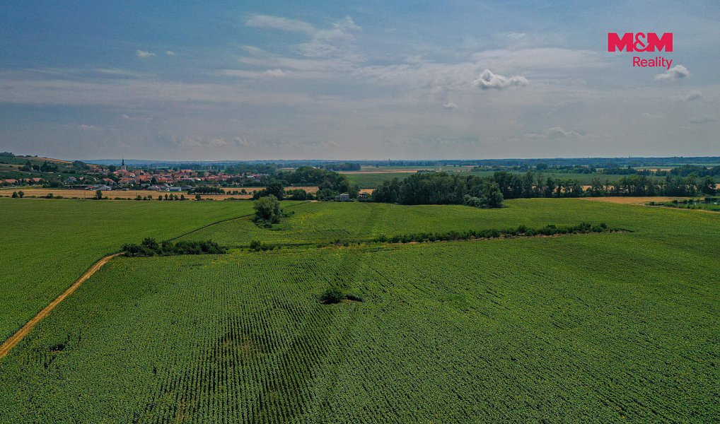 Prodej pole 14 490 m², Zaječí – náhled fotky 11