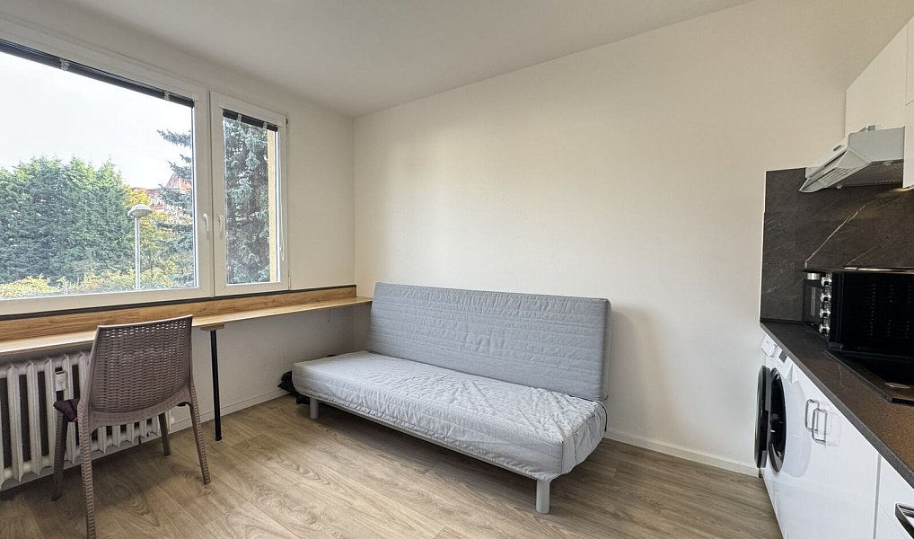 Pronájem bytu 1+kk 20 m², Děčín – náhled fotky 2