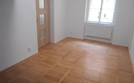 Pronájem bytu 1+kk 40 m², Hájkova, Praha 3 - Žižkov