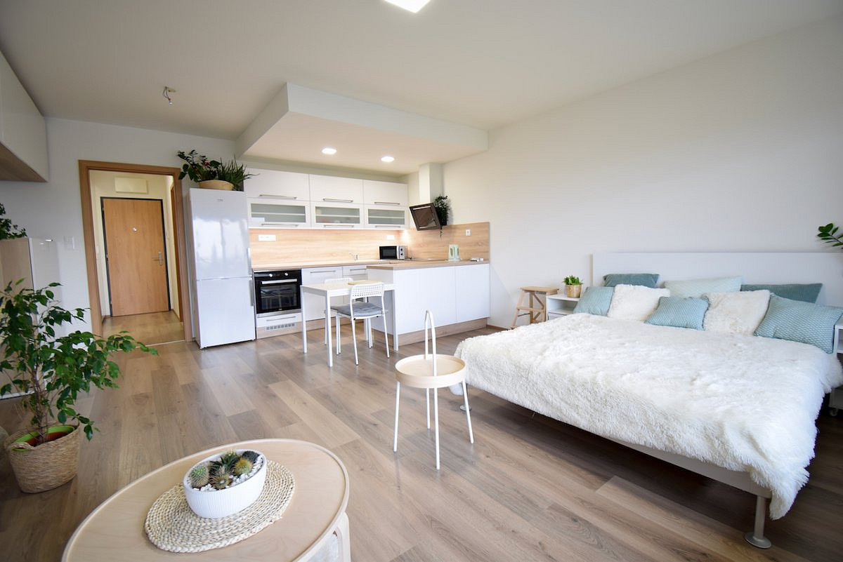 Pronájem bytu 1+kk 41 m² – fotografie 2