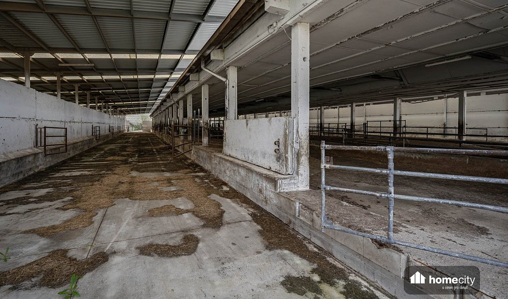 Prodej zemědělského objektu 38 087 m², Sovolusky – náhled fotky 25