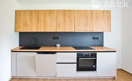 Prodej bytu 2+1 60 m², U viaduktu, Brno - Chrlice