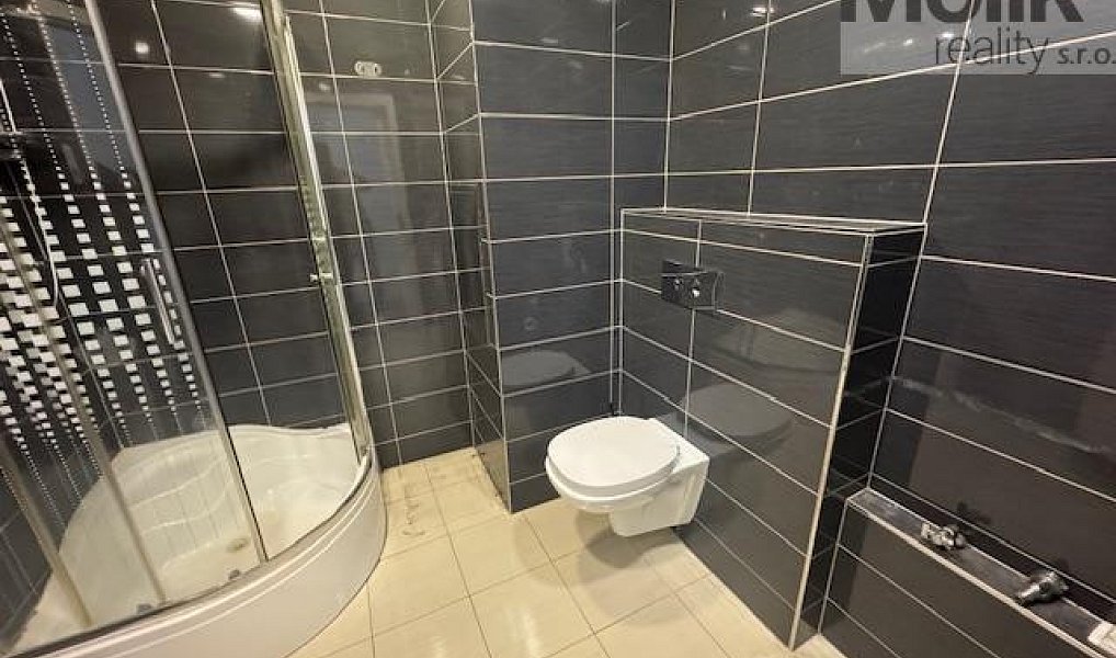 Pronájem bytu 2+kk 40 m², Most – náhled fotky 10