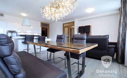 Pronájem bytu 4+kk 90 m², Pallova, Plzeň - Východní Předměstí