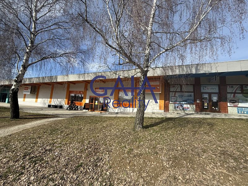 Prodej obchodních prostor 600 m²