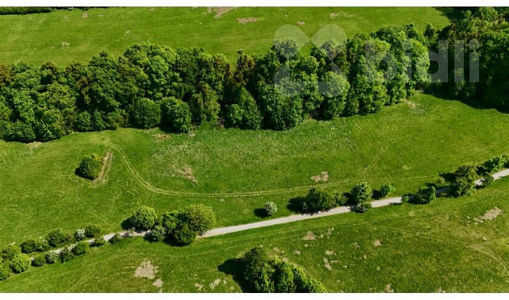 Prodej louky 7 411 m², Nový Jičín – náhled fotky 4
