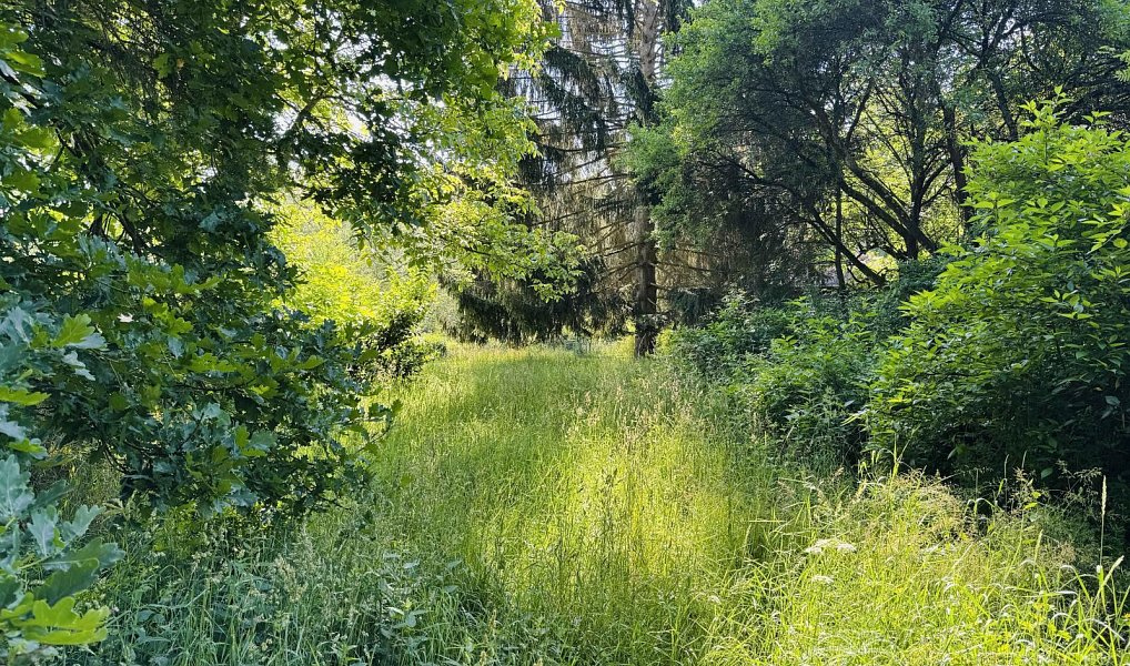 Prodej stavebního pozemku 701 m², Tábor – náhled fotky 4