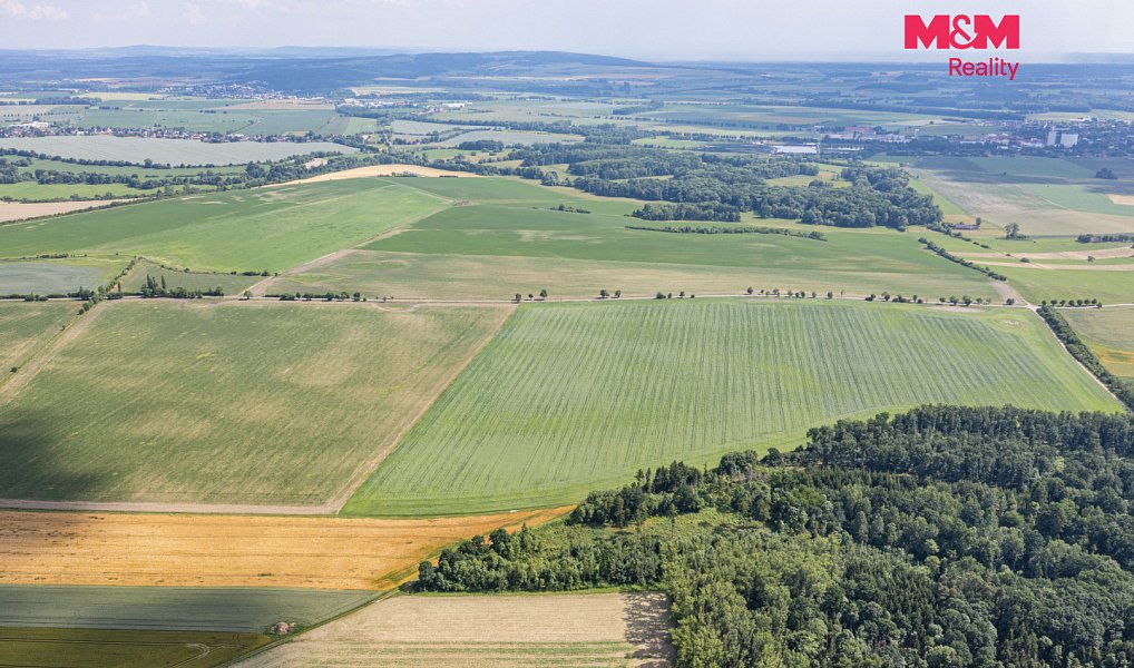 Prodej lesa 11 971 m², Bohuslavice – náhled fotky 7