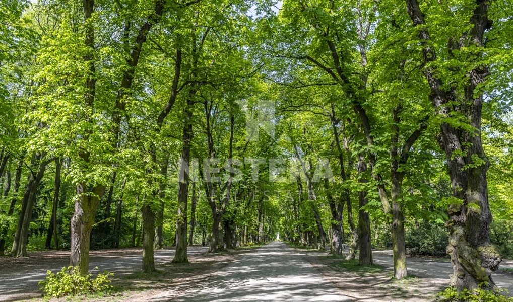 Prodej bytu 5+kk 169 m², Praha – náhled fotky 10