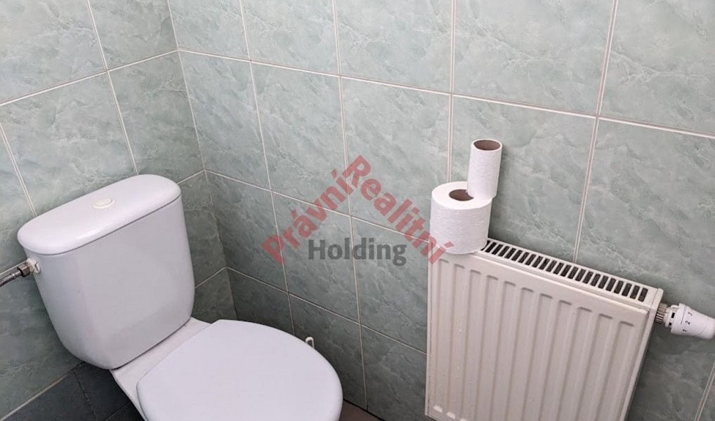 Pronájem bytu 2+kk 35 m², Heřmanův Městec – náhled fotky 14