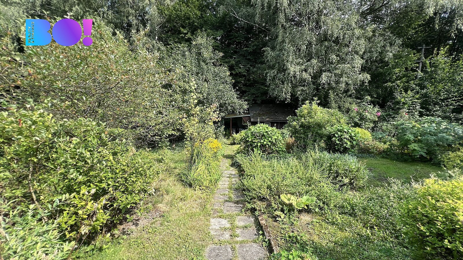 Fotka 9 z 10
