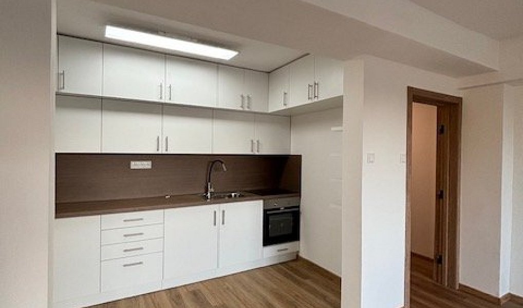 Pronájem bytu 3+1 150 m², Olomouc – náhled fotky 4