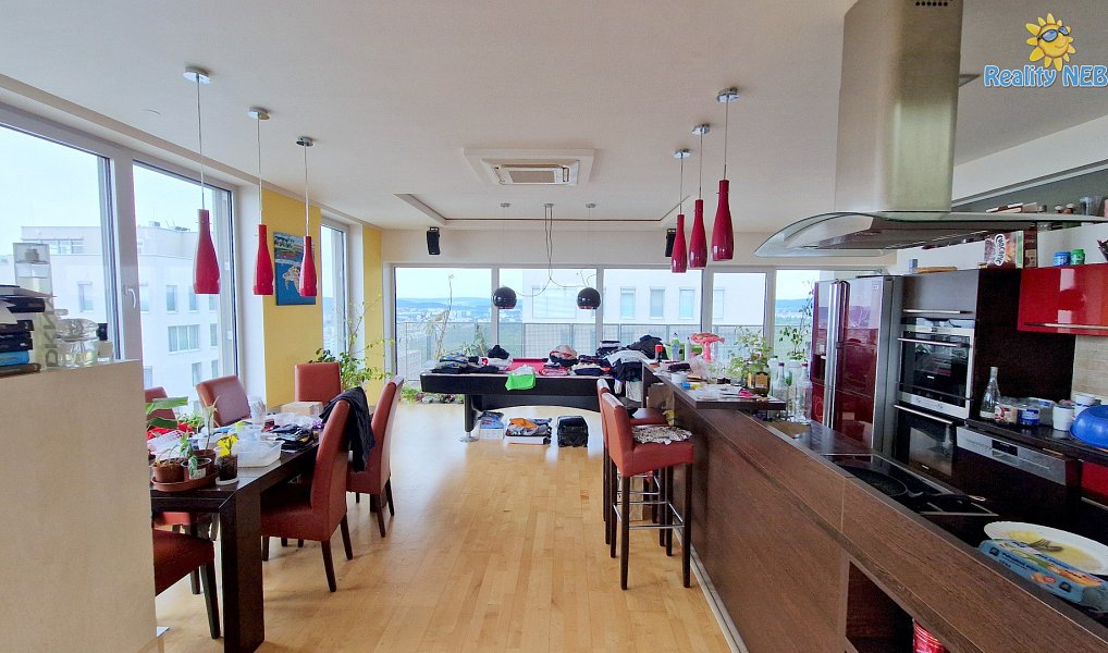Prodej bytu 4+kk 446 m², Brno – náhled fotky 9
