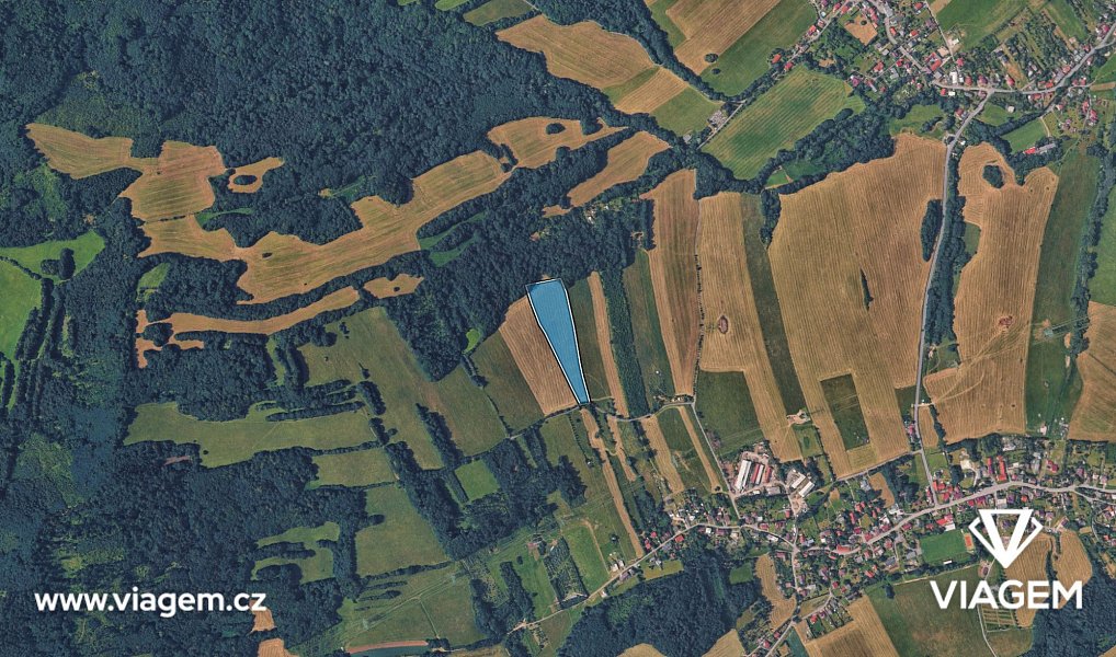 Prodej pole 1 337 m², Hostašovice – náhled fotky 3