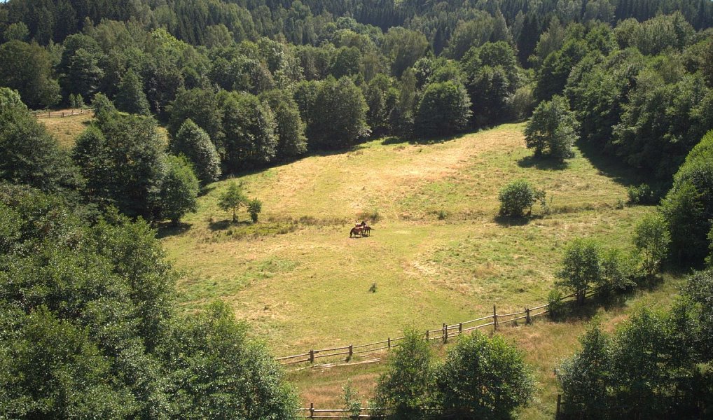 Prodej stavebního pozemku 3 118 m², Olešnice v Orlických horách – náhled fotky 4