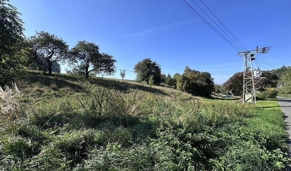 Prodej stavebního pozemku 3 863 m², Rynoltice – náhled fotky 7