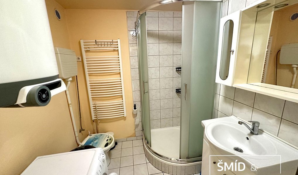 Pronájem bytu 1+kk 26 m², Kolín – náhled fotky 7