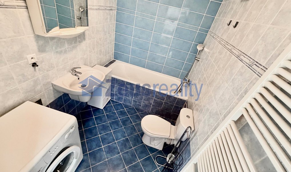 Pronájem bytu 1+kk 44 m², Praha – náhled fotky 6