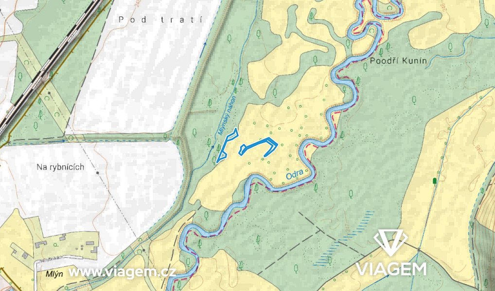 Prodej lesa 2 875 m², Suchdol nad Odrou – náhled fotky 3