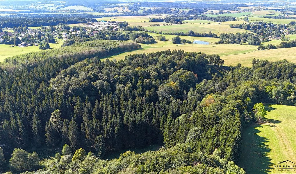 Prodej lesa 9 005 m², Liberk – náhled fotky 3
