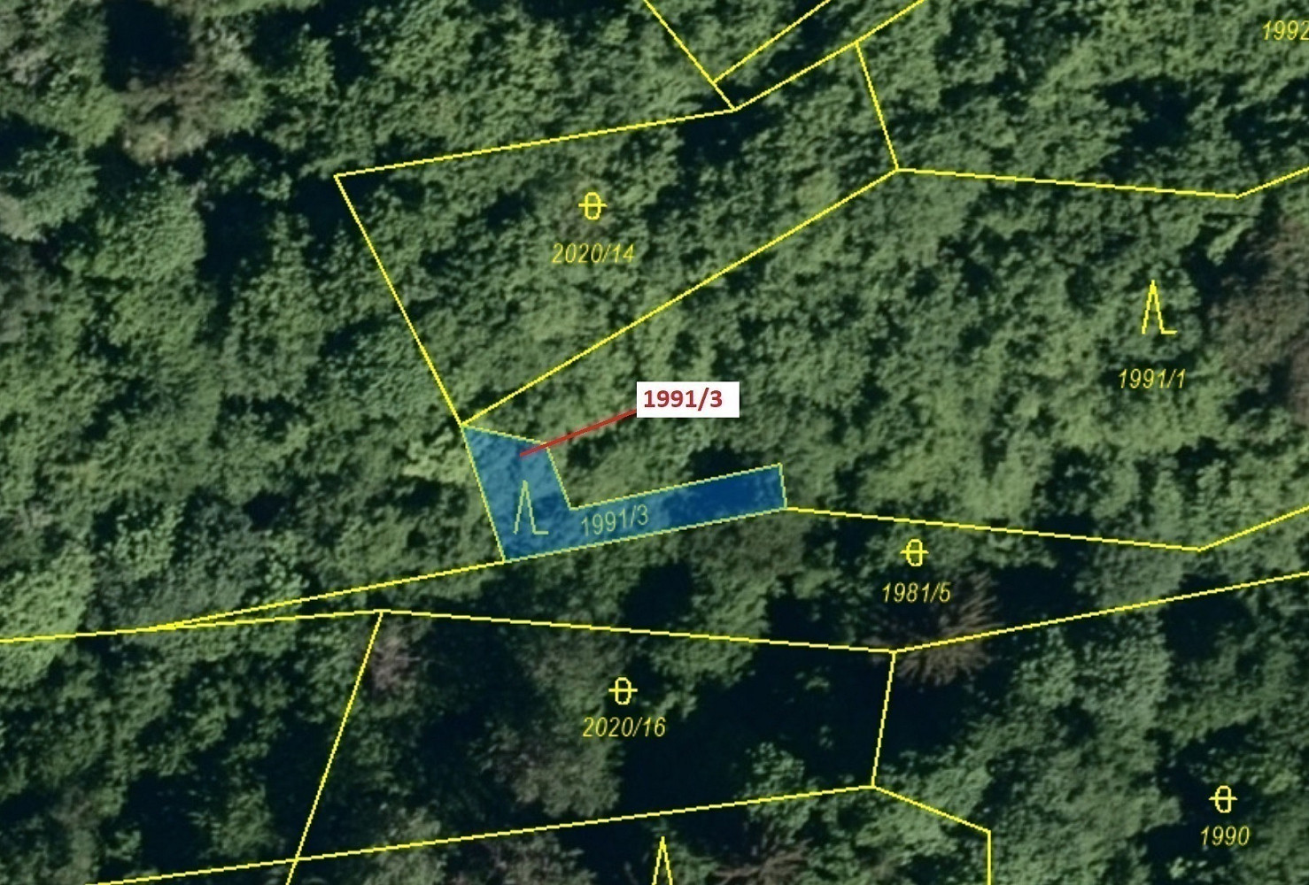 Dražba lesa 115 m² — photo 2