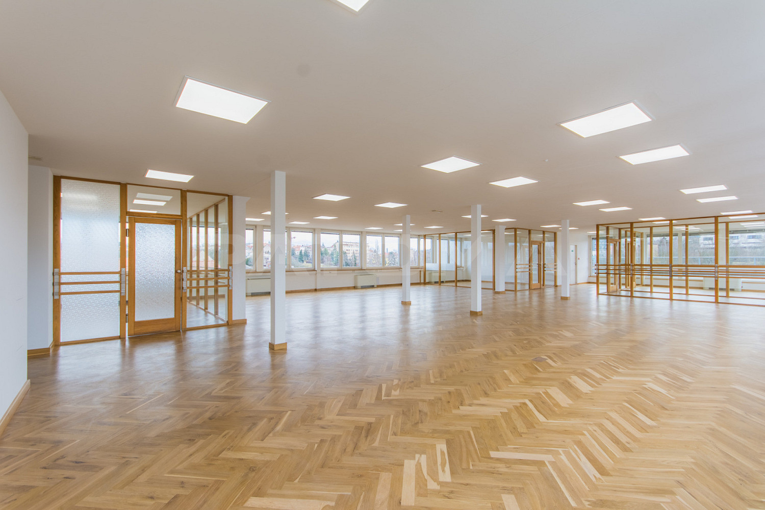Pronájem kanceláře 257 m² – fotografie 2