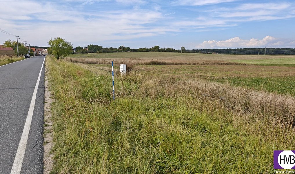Prodej stavebního pozemku 3 767 m², Bělušice – náhled fotky 7