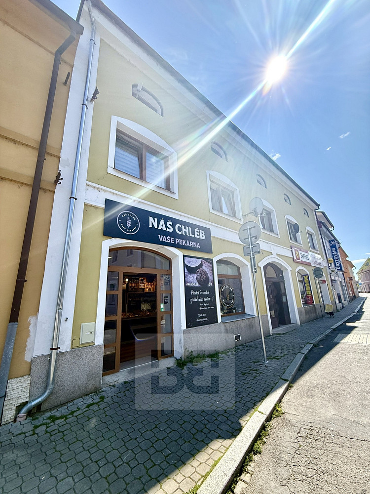 Prodej nájemního domu, činžáku 748 m² — photo 2