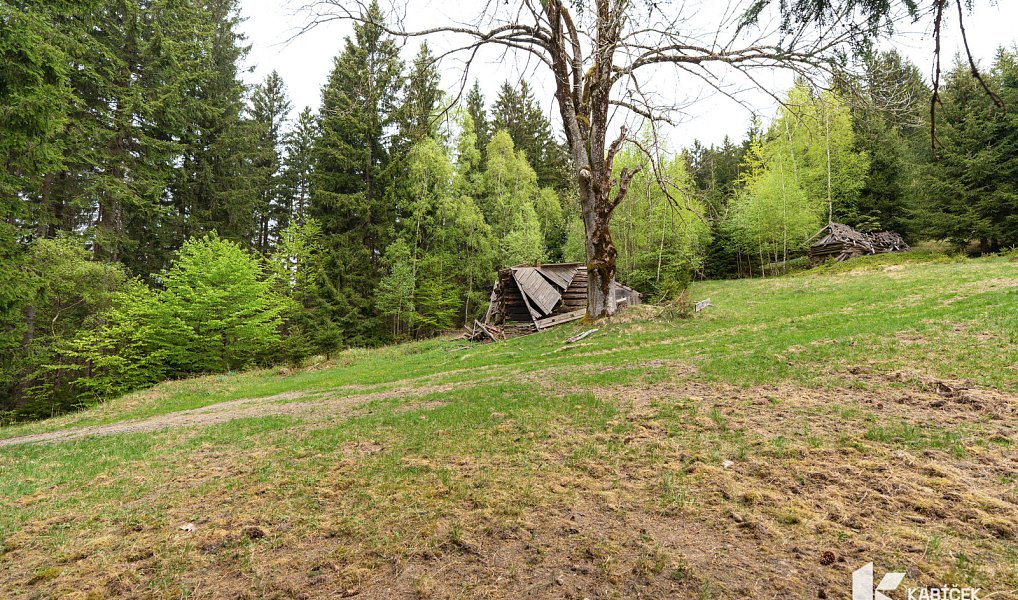 Prodej chaty/chalupy 94 m² s pozemkem 934 m², Velké Karlovice – náhled fotky 4
