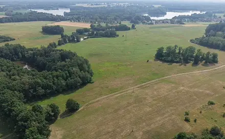 Prodej lesa 360 000 m², Chlum u Třeboně - Žíteč, okres Jindřichův Hradec