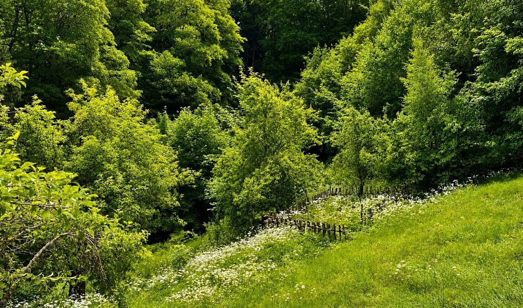 Prodej domu 150 m² s pozemkem 5 154 m², Liberec – náhled fotky 2