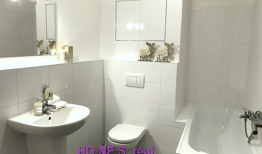 Pronájem bytu 1+kk 36 m², Olomouc – náhled fotky 8