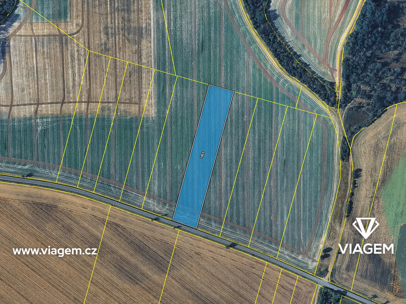 Prodej pole 1 831 m² – fotografie 4