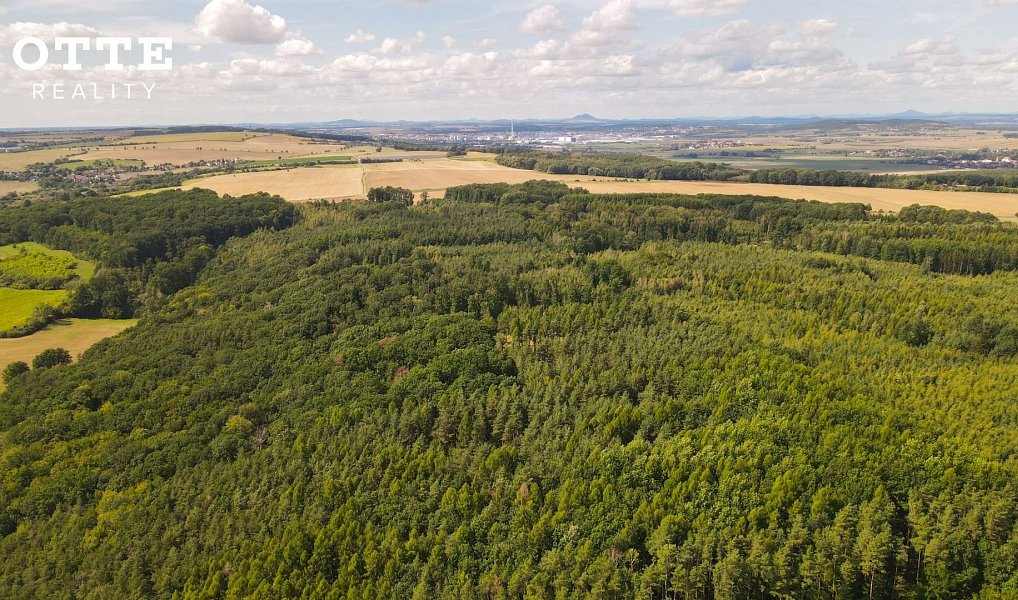 Prodej lesa 985 653 m², Žerčice – náhled fotky 4
