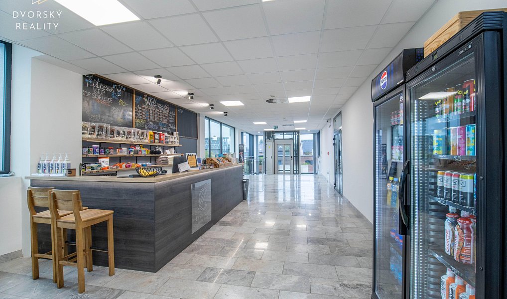 Prodej obchodních prostor 4 857 m², Mladá Boleslav – náhled fotky 9