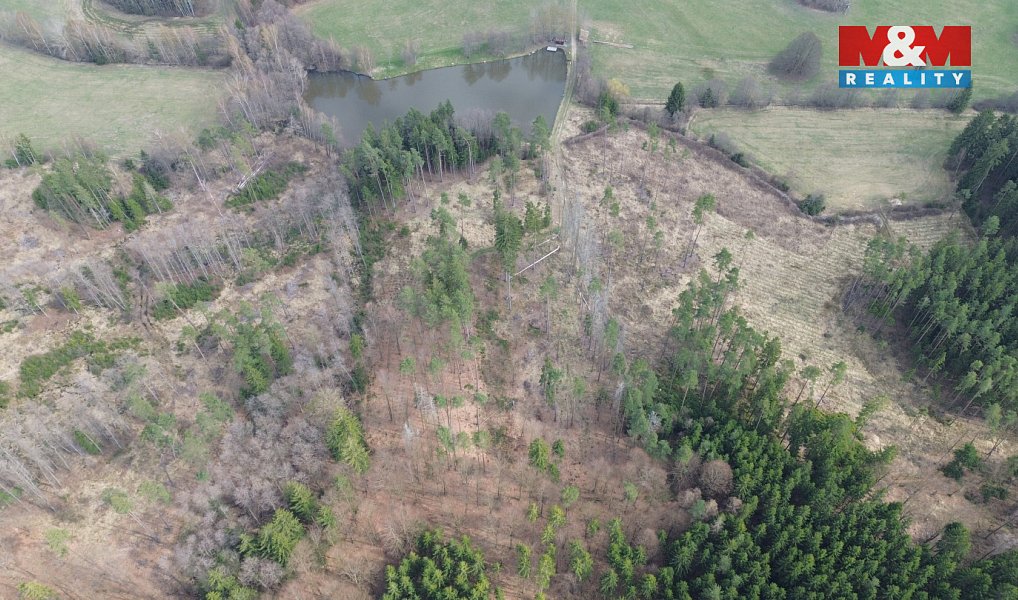 Prodej lesa 7 873 m², Mrákotín – náhled fotky 8
