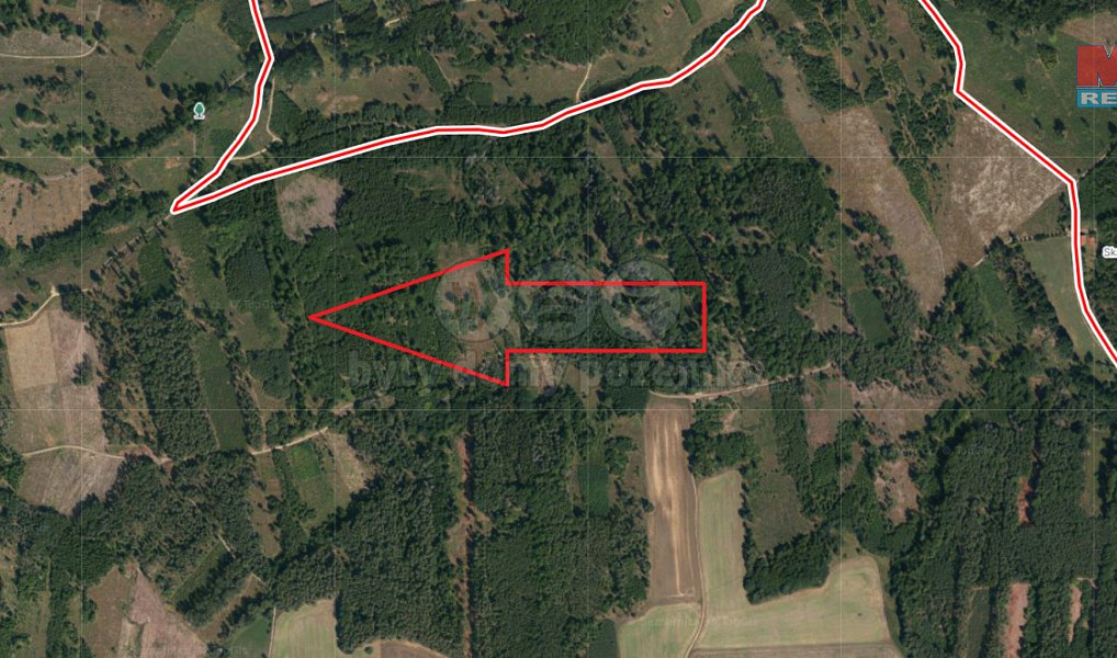 Prodej lesa 7 736 m², Jetětice – náhled fotky 2
