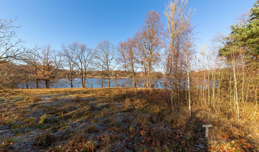 Prodej stavebního pozemku 133 994 m², Vrchotovy Janovice – náhled fotky 13