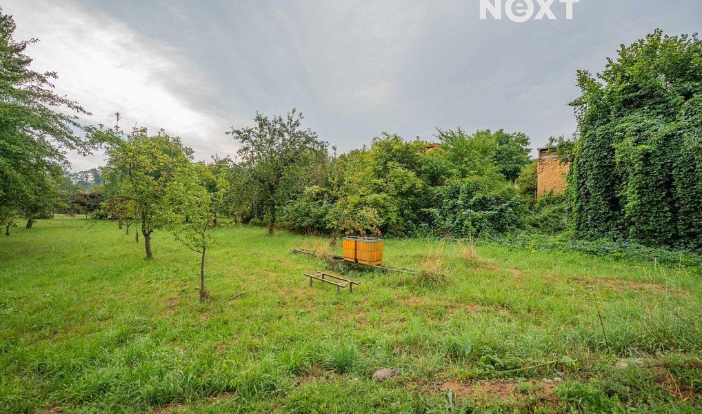 Prodej stavebního pozemku 3 456 m², Loštice – náhled fotky 11
