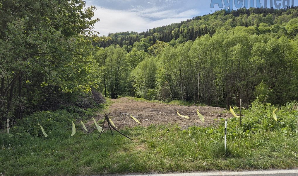 Prodej stavebního pozemku 14 183 m², Vernířovice – náhled fotky 5