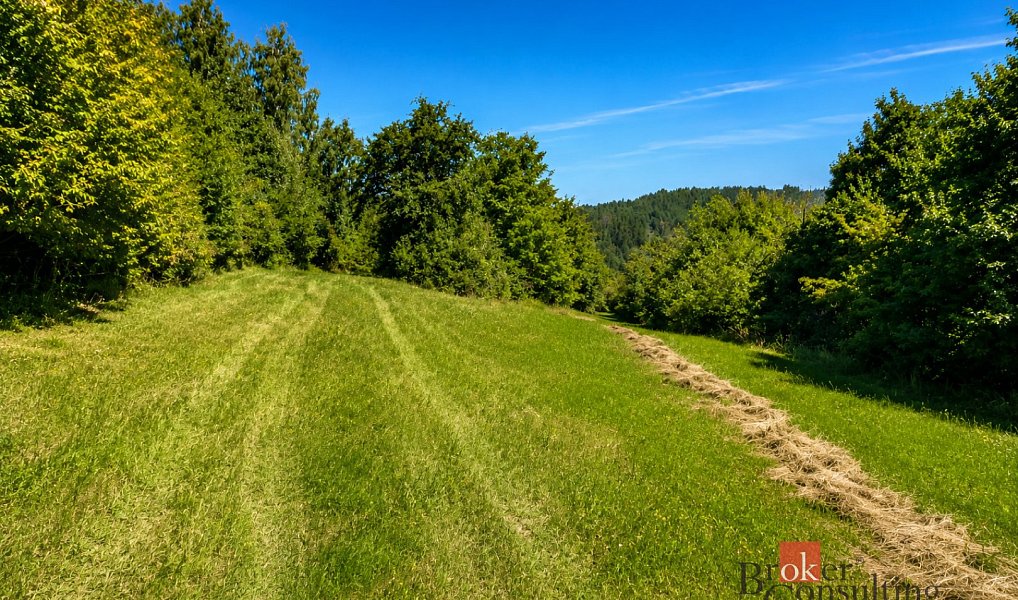 Prodej louky 3 075 m², Borotín – náhled fotky 5