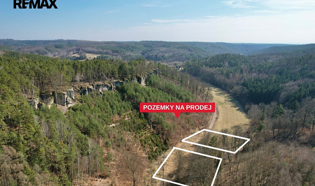 Prodej zahrady 20 733 m², Medonosy – náhled fotky 7