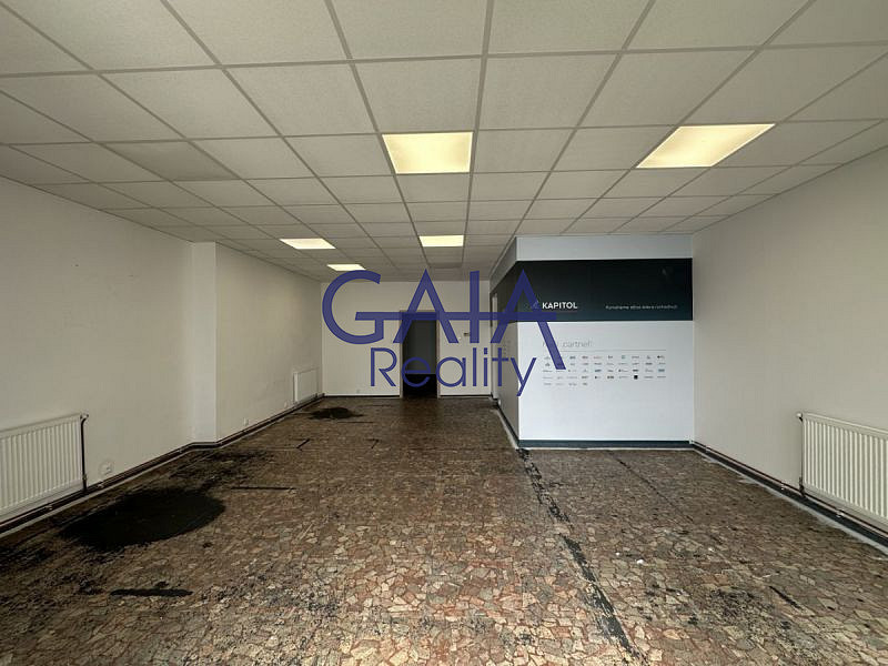 Prodej obchodních prostor 190 m² – fotografie 5