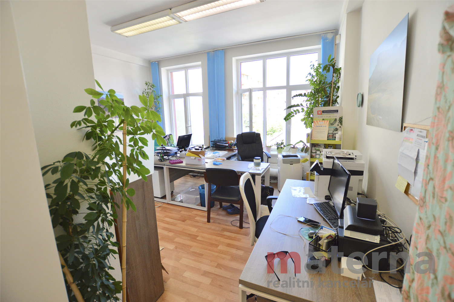Pronájem kanceláře 44 m² – fotografie 2