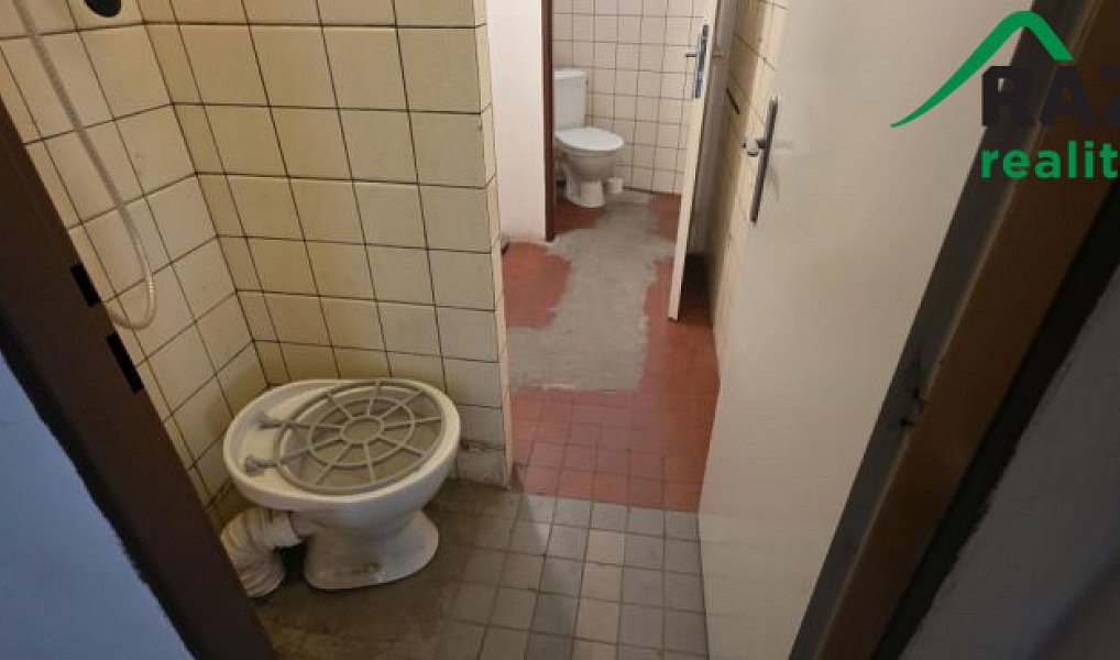 Pronájem výrobních prostor 249 m², Planá – náhled fotky 11