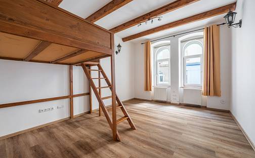 Pronájem bytu 1+1 45 m², Karlova, Plzeň - Jižní Předměstí