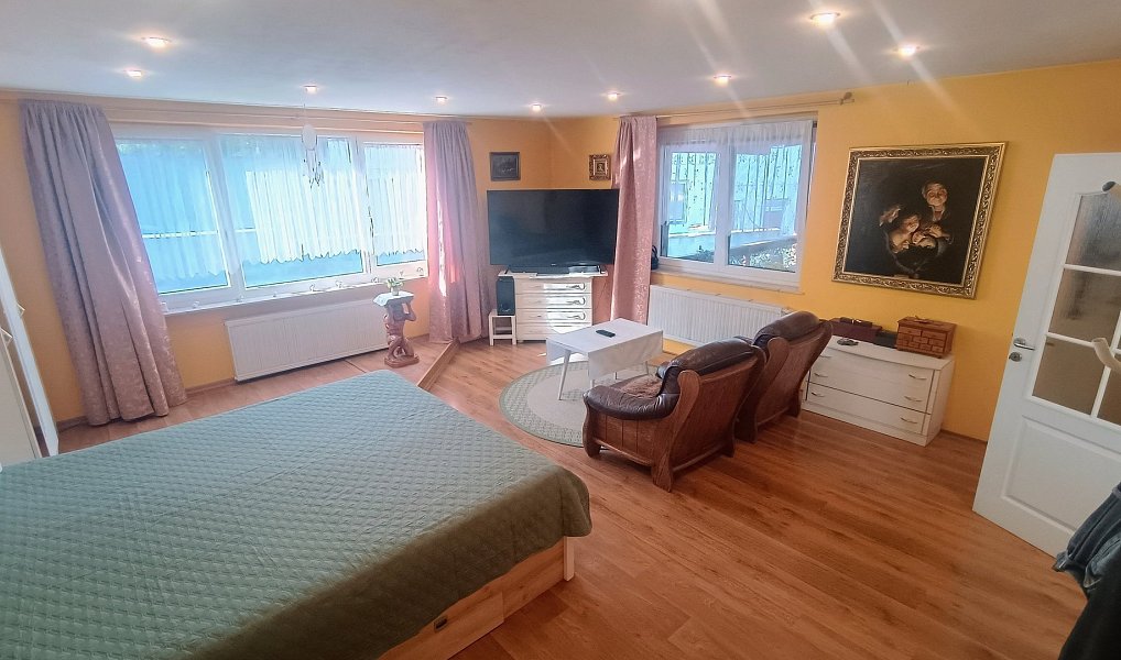 Prodej domu 268 m² s pozemkem 1 347 m², Plzeň – náhled fotky 15