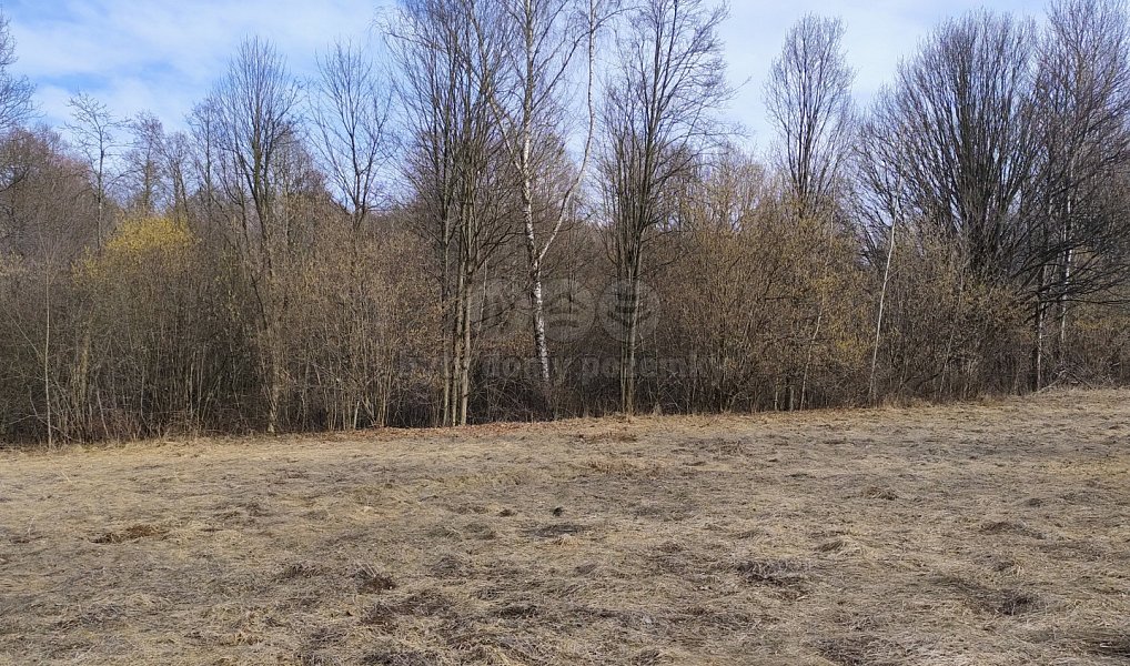 Prodej stavebního pozemku 1 920 m², Dolní Moravice – fotka 1 z 14