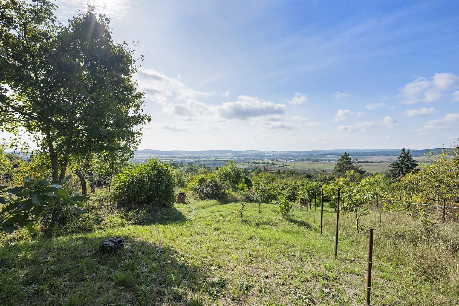 Prodej zahrady 1 346 m² – fotografie 4