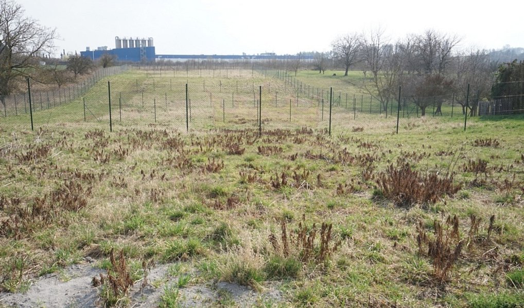 Pronájem zahrady 384 m², Jaroměř – náhled fotky 13